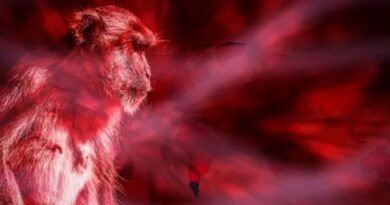 Se ha Detectado una Nueva Cepa de mpox, Anteriormente Conocida como Viruela del Mono, en Inglaterra. Se ha Detectado una Nueva Cepa de mpox, Anteriormente Conocida como Viruela del Mono, en Inglaterra.