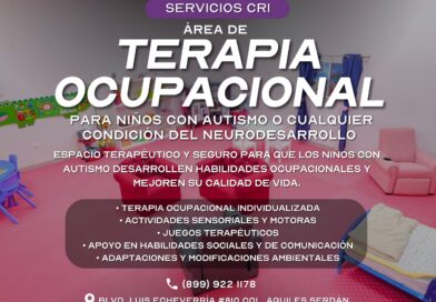 Cuenta DIF-Reynosa con Nueva Área de Terapia Ocupacional en CRI Cuenta DIF-Reynosa con Nueva Área de Terapia Ocupacional en CRI
