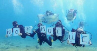 El Centro Mexicano de Derecho Ambiental El Centro Mexicano de Derecho Ambiental