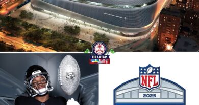 LOS FALCONS JUGARÁN EN MADRID LOS FALCONS JUGARÁN EN MADRID