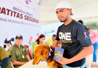 Promueve Gobierno de Reynosa Salud Animal en Coordinación con Asociación Civil Promueve Gobierno de Reynosa Salud Animal en Coordinación con Asociación Civil