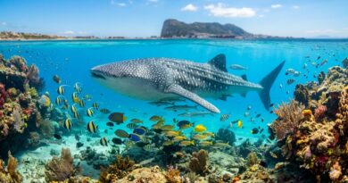 ¡El Caribe en el Estrecho de Gibraltar! ¡El Caribe en el Estrecho de Gibraltar!
