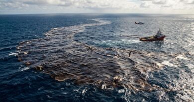 Se han Identificado Nuevas Manchas de Crudo en el Golfo de México Se han Identificado Nuevas Manchas de Crudo en el Golfo de México