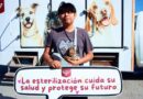 Trabaja Alcalde Carlos y me por una Vida Animal Sana con la Brigada «Patitas Seguras» Trabaja Alcalde Carlos y me por una Vida Animal Sana con la Brigada «Patitas Seguras»