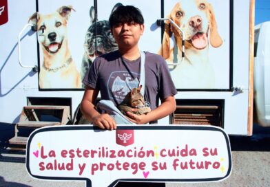 Trabaja Alcalde Carlos y me por una Vida Animal Sana con la Brigada «Patitas Seguras» Trabaja Alcalde Carlos y me por una Vida Animal Sana con la Brigada «Patitas Seguras»