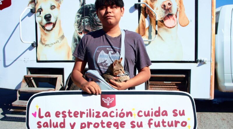 Trabaja Alcalde Carlos y me por una Vida Animal Sana con la Brigada «Patitas Seguras» Trabaja Alcalde Carlos y me por una Vida Animal Sana con la Brigada «Patitas Seguras»