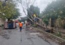 Restableció Gobierno de Reynosa Daños Causados por las Lluvias Restableció Gobierno de Reynosa Daños Causados por las Lluvias