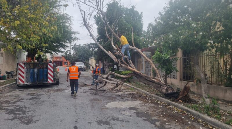 Restableció Gobierno de Reynosa Daños Causados por las Lluvias Restableció Gobierno de Reynosa Daños Causados por las Lluvias