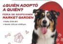 Feria de Adopciones Brinda Segunda Oportunidad a Mascotas que Buscan Hogar Feria de Adopciones Brinda Segunda Oportunidad a Mascotas que Buscan Hogar