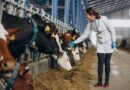 La Innovación Tecnológica que Respalda un Consumo Seguro de 131 Litros de Leche y 16 kg de Carne de res al año La Innovación Tecnológica que Respalda un Consumo Seguro de 131 Litros de Leche y 16 kg de Carne de res al año