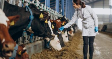 La Innovación Tecnológica que Respalda un Consumo Seguro de 131 Litros de Leche y 16 kg de Carne de res al año