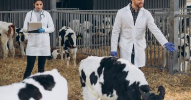 Día Mundial del Veterinario: la Profesión que Podría Prevenir más de 2 Millones de Muertes Humanas al año Día Mundial del Veterinario: la Profesión que Podría Prevenir más de 2 Millones de Muertes Humanas al año