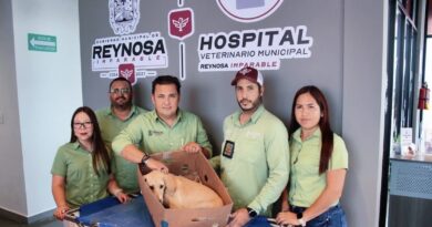 Sonríen a la Vida Mascotas Rescatadas y Atendidas por Control y Bienestar Animal del Gobierno de Reynosa