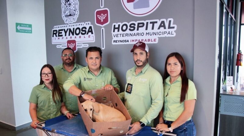 Sonríen a la Vida Mascotas Rescatadas y Atendidas por Control y Bienestar Animal del Gobierno de Reynosa
