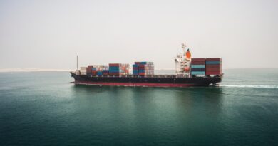 EL Buque de Irán Atacan Portacontenedores en Frente en las Inmediaciones del Estrecho de Ormuz