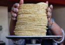 Sheinbaum Rechaza Alza en Tortilla y Señala que el Maíz Está en su Nivel más Bajo Sheinbaum Rechaza Alza en Tortilla y Señala que el Maíz Está en su Nivel más Bajo