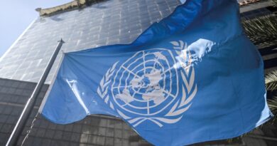 La ONU Esta en Alerta Por Violencia Contra Los Defensores de Derechos Humanos en CDMX