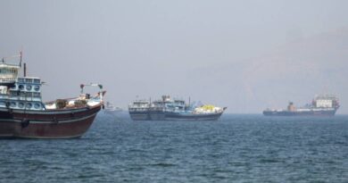 Irán le Promete a su Pueblo un Golfo Pérsico sin la Presencia de Estados Unidos