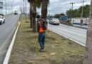 Realiza Gobierno de Reynosa Limpieza y Mantenimiento de Áreas Públicas
