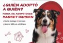 Invita el Presidente Carlos Peña Ortiz a la Feria de Adopciones hoy Domingo 24 Mayo Invita el Presidente Carlos Peña Ortiz a la Feria de Adopciones hoy Domingo 24 Mayo