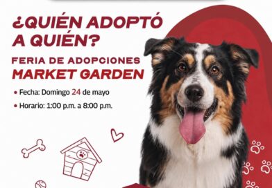Invita el Presidente Carlos Peña Ortiz a la Feria de Adopciones hoy Domingo 24 Mayo Invita el Presidente Carlos Peña Ortiz a la Feria de Adopciones hoy Domingo 24 Mayo
