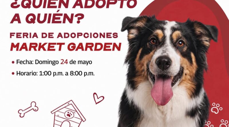 Invita el Presidente Carlos Peña Ortiz a la Feria de Adopciones hoy Domingo 24 Mayo Invita el Presidente Carlos Peña Ortiz a la Feria de Adopciones hoy Domingo 24 Mayo