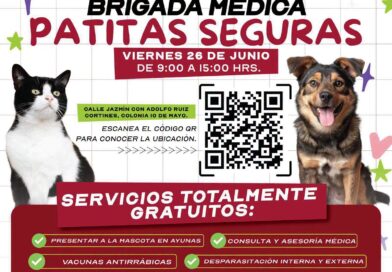 Invita Alcalde Carlos Peña Ortiz a la Brigada Médica Veterinaria Patitas Seguras en la 10 de Mayo