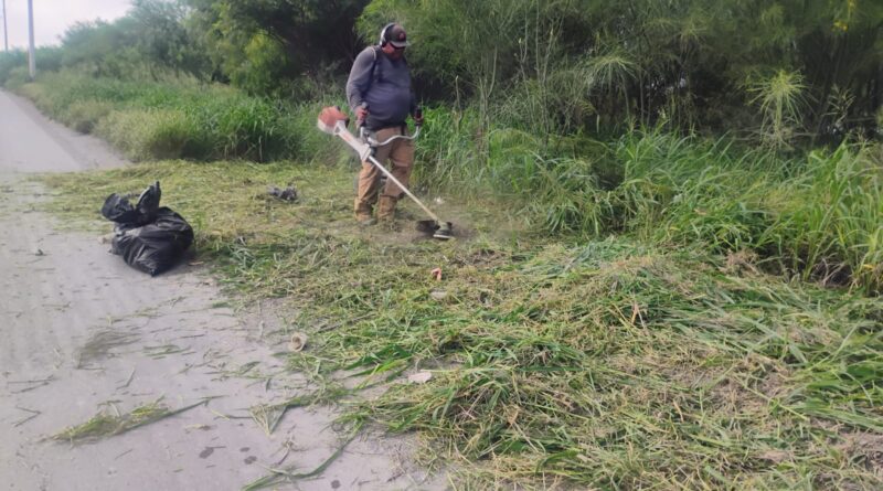 Limpieza en Bulevar Colosio Mejora Visibilidad y Previene Inundaciones en Reynosa Limpieza en Bulevar Colosio Mejora Visibilidad y Previene Inundaciones en Reynosa