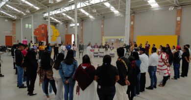 SECRETARÍA DE CULTURA E INPI REALIZAN TALLER PARA EL FORTALECIMIENTO DE LOS SEMILLEROS DE LA NIÑEZ INDÍGENA SECRETARÍA DE CULTURA E INPI REALIZAN TALLER PARA EL FORTALECIMIENTO DE LOS SEMILLEROS DE LA NIÑEZ INDÍGENA