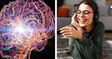 ¿Oyes las Mismas Canciones Muchas Veces? La Ciencia Explico qué Sucede en el Cerebro ¿Oyes las Mismas Canciones Muchas Veces? La Ciencia Explico qué Sucede en el Cerebro