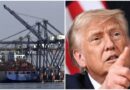 El Presidente Donald Trump Menciono que EE.UU. Ya no Ocupara Más a México En T-MEC El Presidente Donald Trump Menciono que EE.UU. Ya no Ocupara Más a México En T-MEC