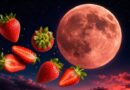 En CDMX Habra un Evento Astronomico Que marcara Por Generaciones se Llama Luna de Fresa Cuando pasara a que Hora y las Recomendaciones Para Verla En CDMX Habra un Evento Astronomico Que marcara Por Generaciones se Llama Luna de Fresa Cuando pasara a que Hora y las Recomendaciones Para Verla