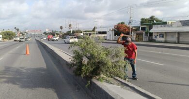 Intensivo Programa de Limpieza del Gobierno de Carlos Peña Ortiz en Vialidades de Reynosa Intensivo Programa de Limpieza del Gobierno de Carlos Peña Ortiz en Vialidades de Reynosa