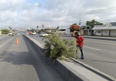 Intensivo Programa de Limpieza del Gobierno de Carlos Peña Ortiz en Vialidades de Reynosa Intensivo Programa de Limpieza del Gobierno de Carlos Peña Ortiz en Vialidades de Reynosa