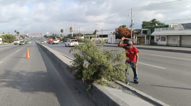 Intensivo Programa de Limpieza del Gobierno de Carlos Peña Ortiz en Vialidades de Reynosa Intensivo Programa de Limpieza del Gobierno de Carlos Peña Ortiz en Vialidades de Reynosa