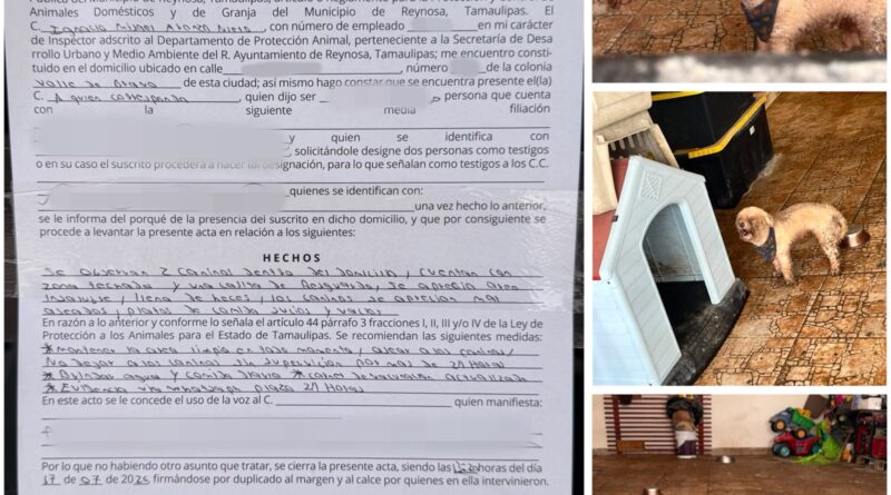 Refuerza Gobierno de Carlos Peña Ortiz Acciones por los Animales en Valle de Bravo Refuerza Gobierno de Carlos Peña Ortiz Acciones por los Animales en Valle de Bravo