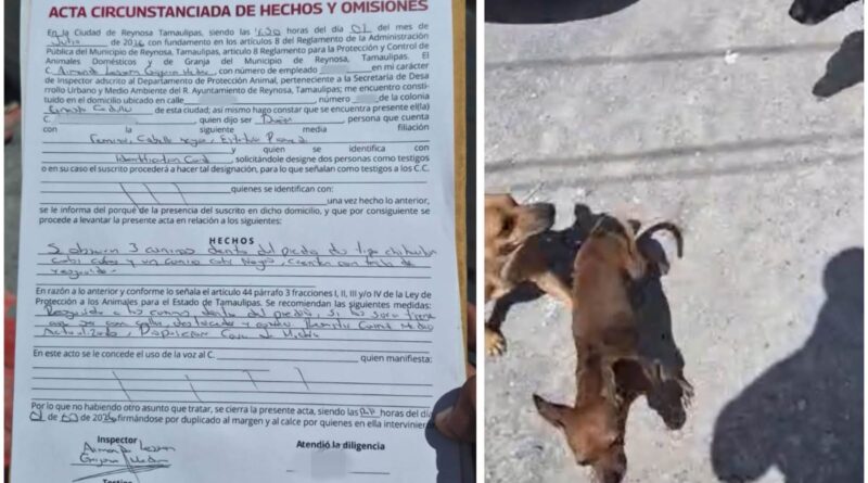 Atendió Control y Bienestar Animal Atendió Reportes en Las Cumbres y Ernesto Zedillo Atendió Control y Bienestar Animal Atendió Reportes en Las Cumbres y Ernesto Zedillo
