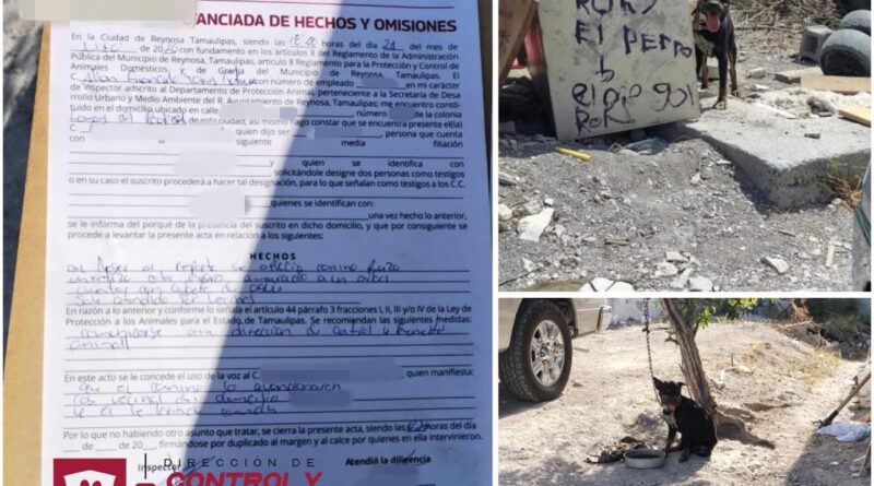 Imparable Atención a Mascotas de Parte del Gobierno de Reynosa Imparable Atención a Mascotas de Parte del Gobierno de Reynosa