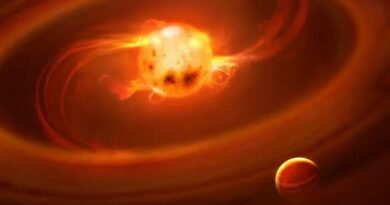 El Instituto de Astrofísica de Andalucía Examinan por Primera vez un Campo Magnético de un Exoplaneta y Vuelven a Escribir una Búsqueda de Vida Fuera de la Tierra El Instituto de Astrofísica de Andalucía Examinan por Primera vez un Campo Magnético de un Exoplaneta y Vuelven a Escribir una Búsqueda de Vida Fuera de la Tierra