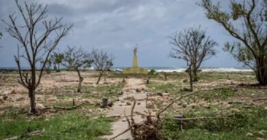 Un Catastrófico Ciclón Llamado Supertifón Bavi en las Islas de EE.UU. Arrazo con Árboles, y Postes de Electricidad, Un Catastrófico Ciclón Llamado Supertifón Bavi en las Islas de EE.UU. Arrazo con Árboles, y Postes de Electricidad,