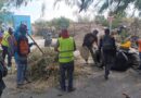 Avanza Reynosa con el Trabajo Multidisciplinario del Presidente Municipal Carlos Peña Ortiz Avanza Reynosa con el Trabajo Multidisciplinario del Presidente Municipal Carlos Peña Ortiz