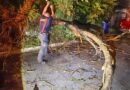 Cumple Gobierno Municipal con Ruta de Recolección de Basura este Lunes