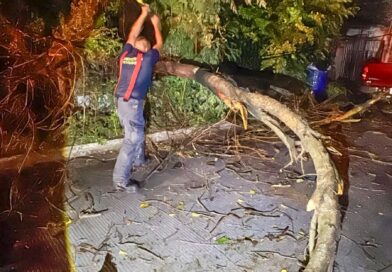 Cumple Gobierno Municipal con Ruta de Recolección de Basura este Lunes