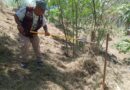 Refrenda Alcalde Carlos Peña Ortiz su Interés por Mantenimiento de Drenes y Canales Refrenda Alcalde Carlos Peña Ortiz su Interés por Mantenimiento de Drenes y Canales