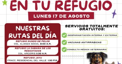 Brindará Gobierno de Reynosa Atención Veterinaria Gratuita a más Refugios Brindará Gobierno de Reynosa Atención Veterinaria Gratuita a más Refugios