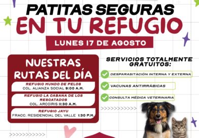 Brindará Gobierno de Reynosa Atención Veterinaria Gratuita a más Refugios Brindará Gobierno de Reynosa Atención Veterinaria Gratuita a más Refugios