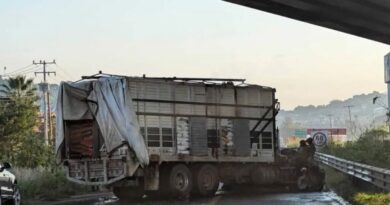 Jalisco y Guanajuato Refuerzan Seguridad tras Bloqueos en Michoacán Jalisco y Guanajuato Refuerzan Seguridad tras Bloqueos en Michoacán