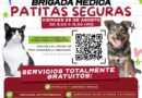 Atenderá Patitas Seguras a Mascotas de Hacienda del Sol Atenderá Patitas Seguras a Mascotas de Hacienda del Sol