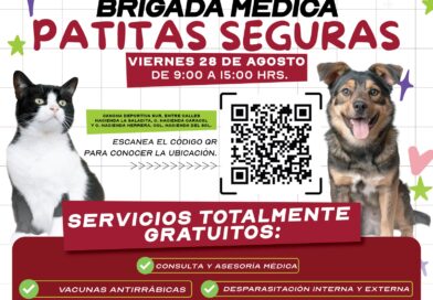 Atenderá Patitas Seguras a Mascotas de Hacienda del Sol Atenderá Patitas Seguras a Mascotas de Hacienda del Sol