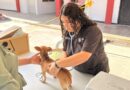 Atendió Gobierno de Carlos Peña Ortiz a Mascotas de la Unidos Podemos